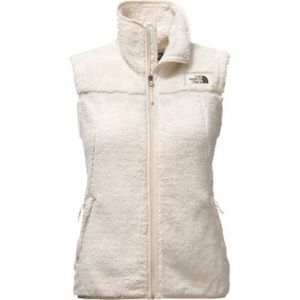 The North Face Vest